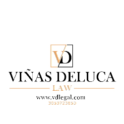 Vinas & DeLuca, PLLC