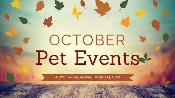 Enjoy Fun Phoenix Pet Events October