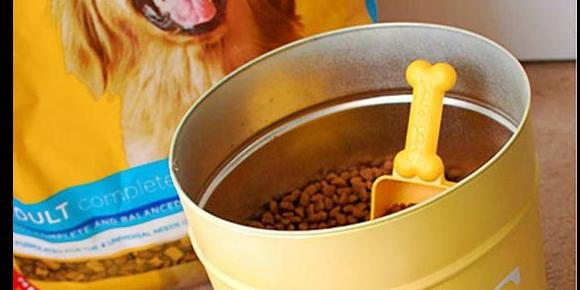 what can i feed my dog if i dont have dog food