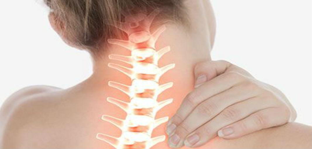 Key Differences Between a Herniated and Bulging Disc a sufferer in  Lakewood, CO should know