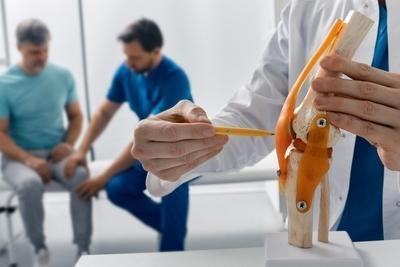 Doctor treating the knee of patient and knee model in front.