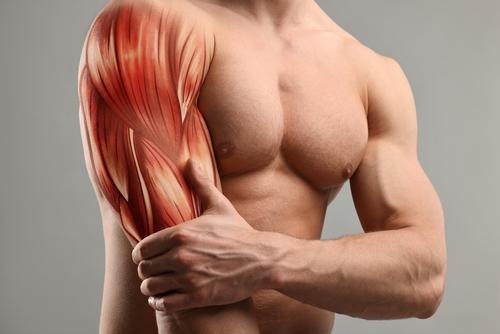 Man with a fit body overlaid with an illustration of muscle fibers