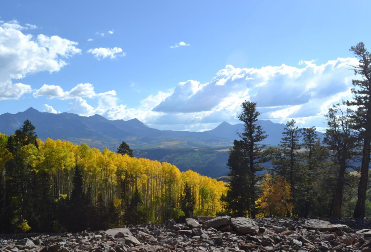 best dentist in Bailey Colorado, bailey co dentist, conifer dental group. bailey co dentist near me, dental practice near bailey co