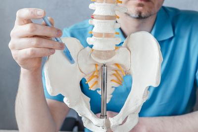 Doctor pointing out the Sacroiliac Joint pain in model bones.