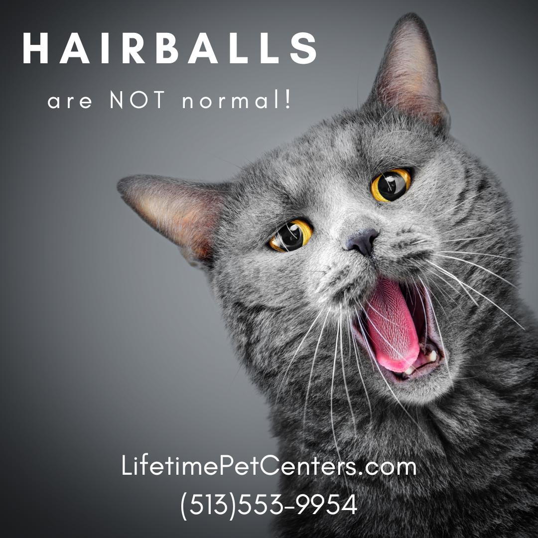 Cat hairball hot sale