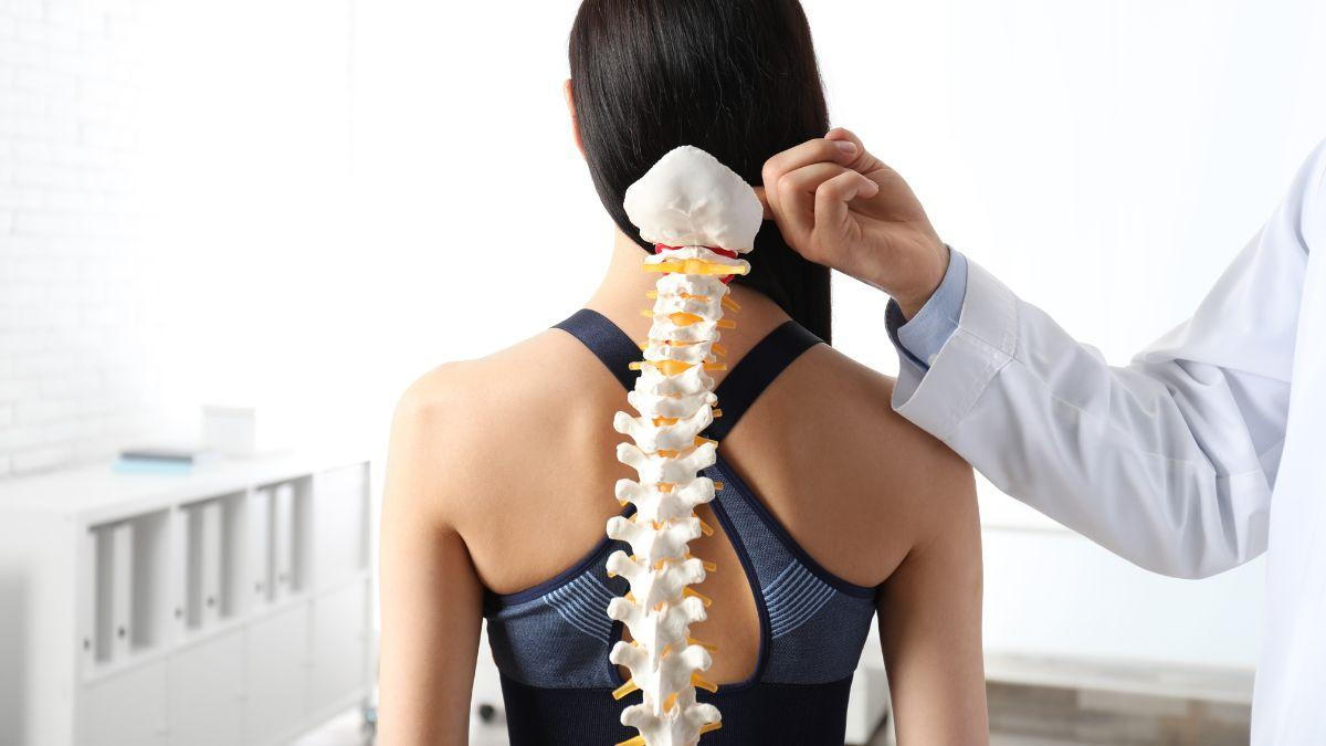 Doctor Examining Woman's Spine With Spinal Model