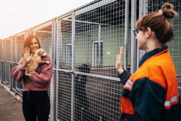 Emotional Support Animals in Rentals