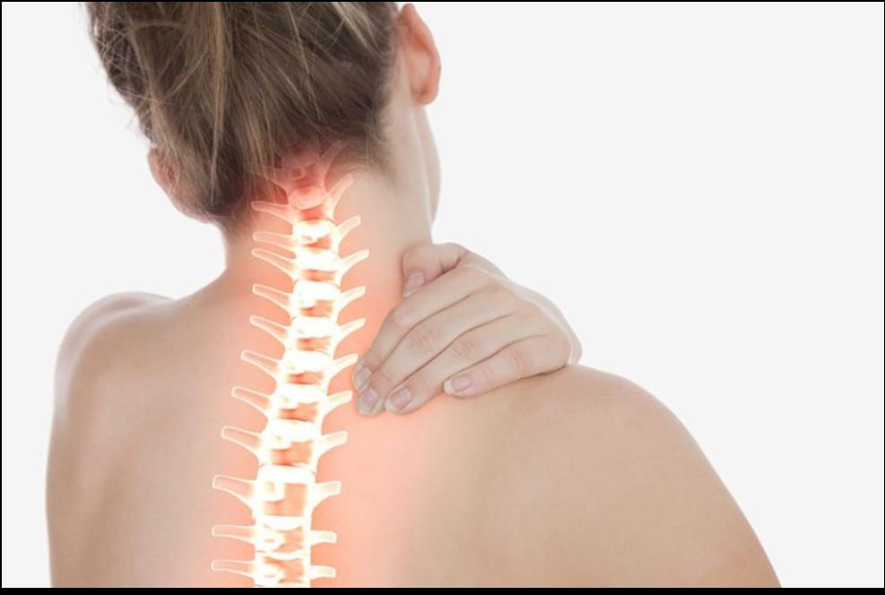 What's your Neck curve look like? - GETTING SPINES HEALTHY AGAIN