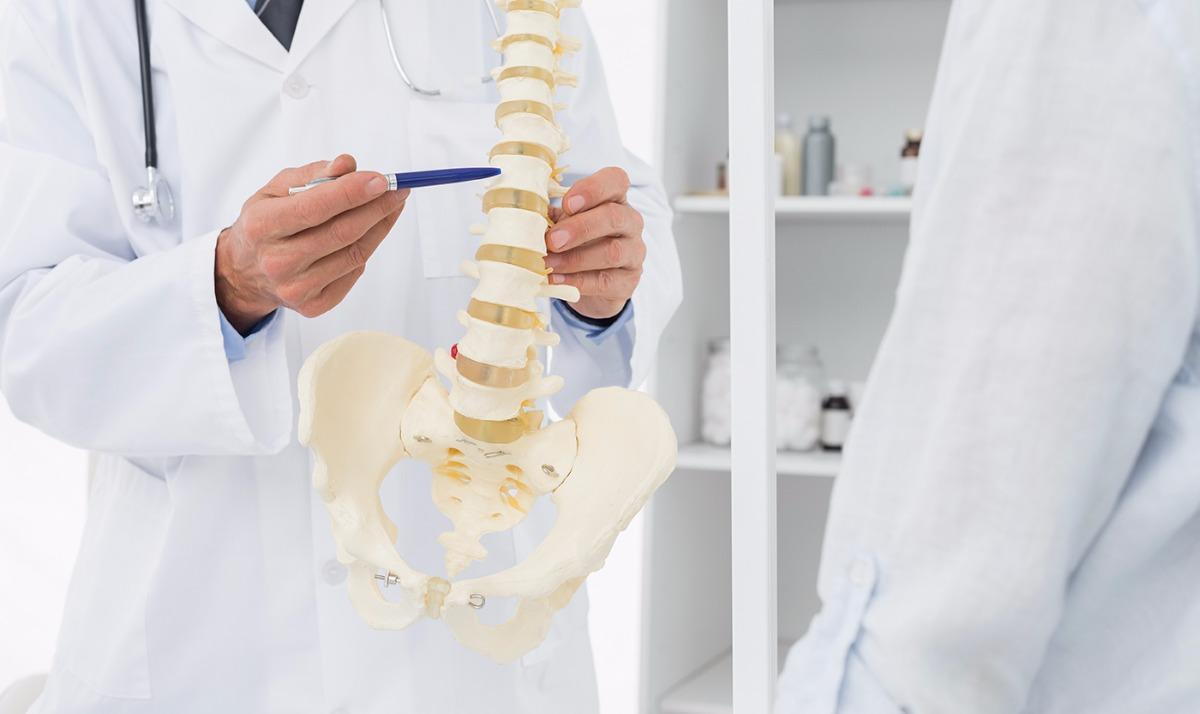 man showing a patient a spine model in Exeter