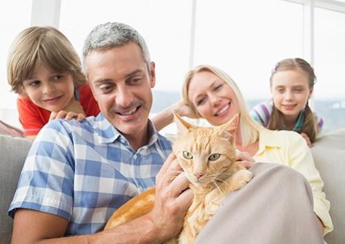 Caring for Your Cat’s Dental Health - Park Slope Kids Dental Care