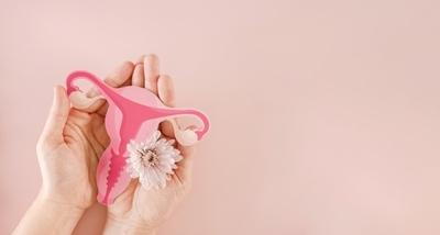 Illustration of Pelvic health on a woman