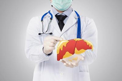 Illustration of fatty liver being presented by gastroenterologist