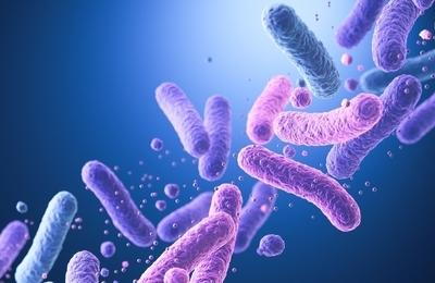 Illustration-of-Probiotic-Bacteria-Lactobacillus