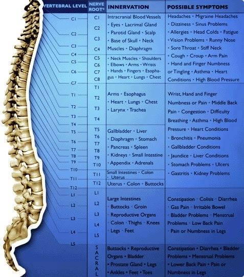 Spine Nerve Chart Symptoms