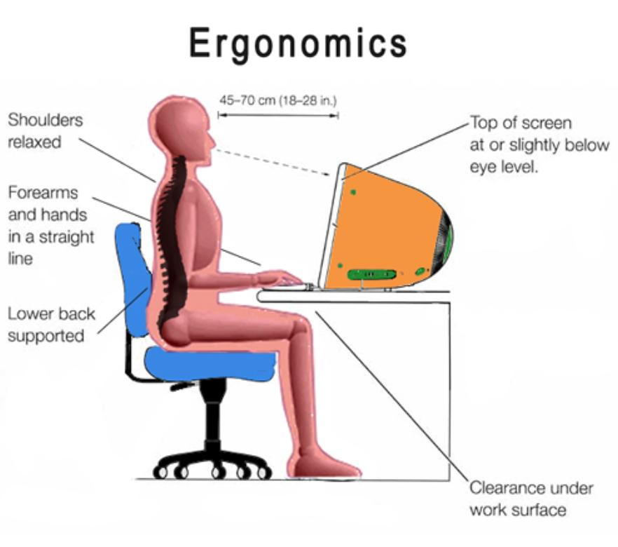 Buy Ergonomic Chair