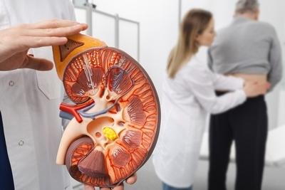 Illustration of kidney disease in 3d graphics.