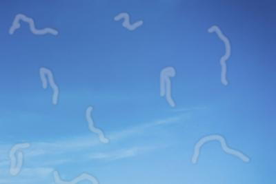 Point of view of an individual experiencing floaters while sky gazing