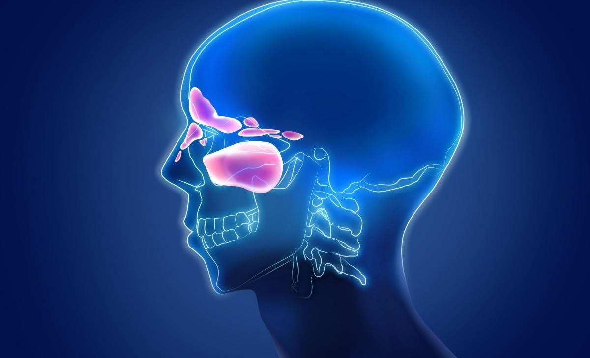 Amoxicillin Clavulanate or Cefaclor | New York Allergy and Sinus Centers, image size:1200x729