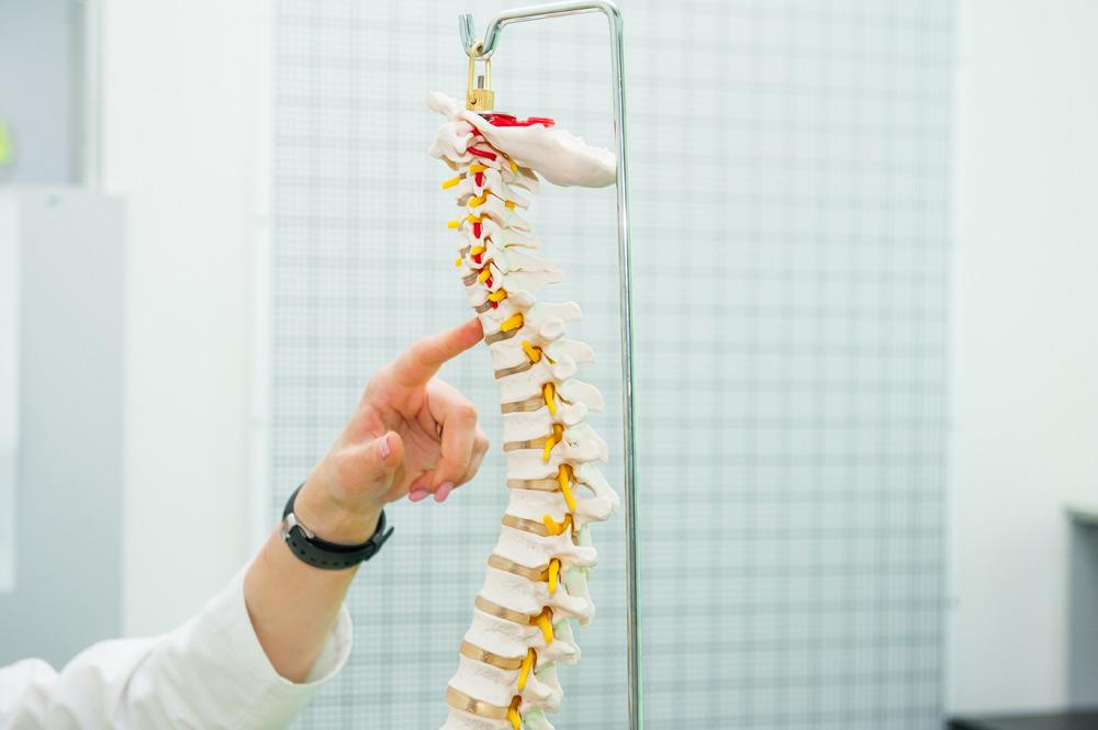 Someone pointing to a spine