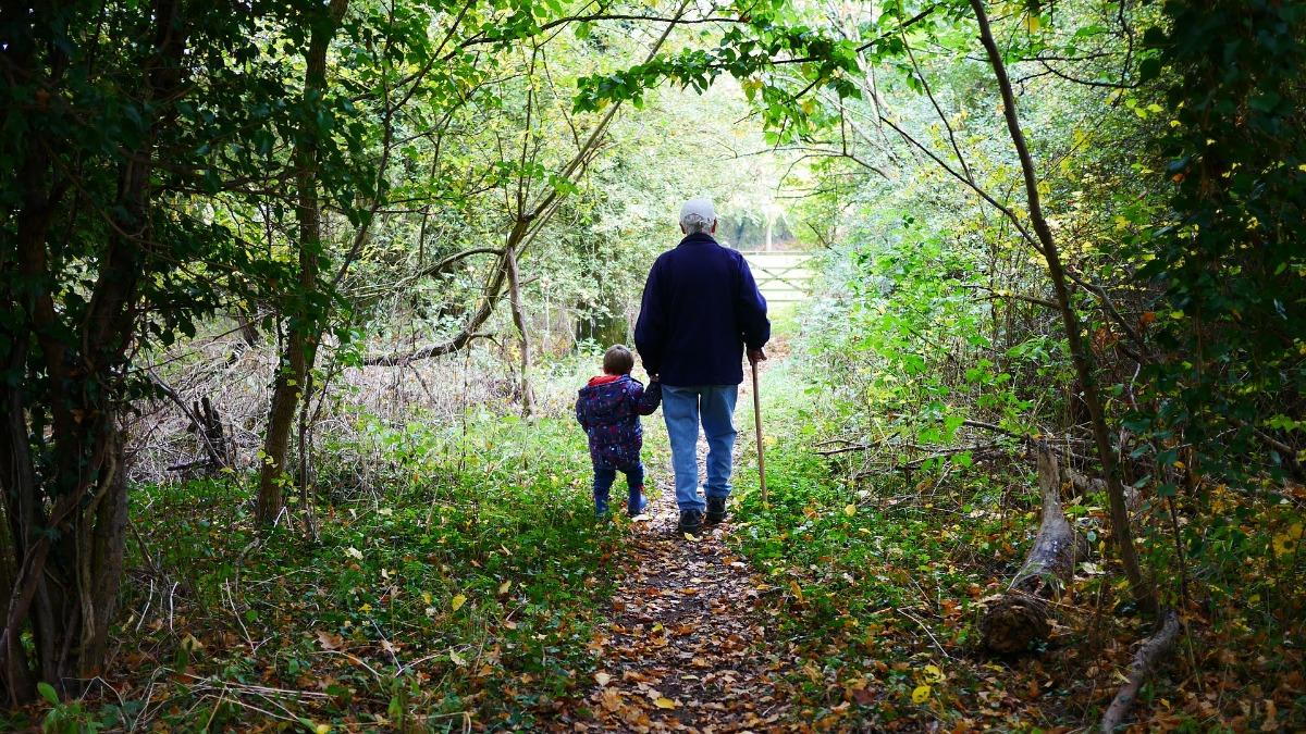 grandfather holding grandson's hand, walking on a path through a forest