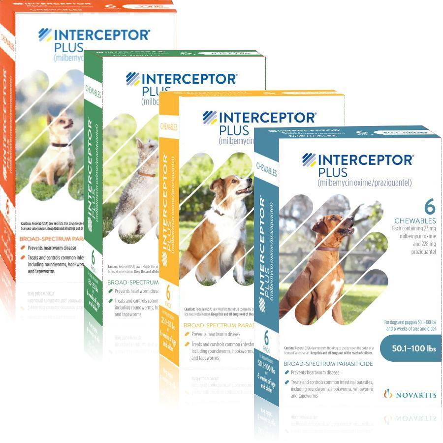 heartworm prevention for dogs interceptor