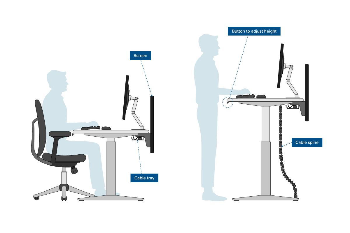 Ergonomics: What is the correct way to set up a desk work station?