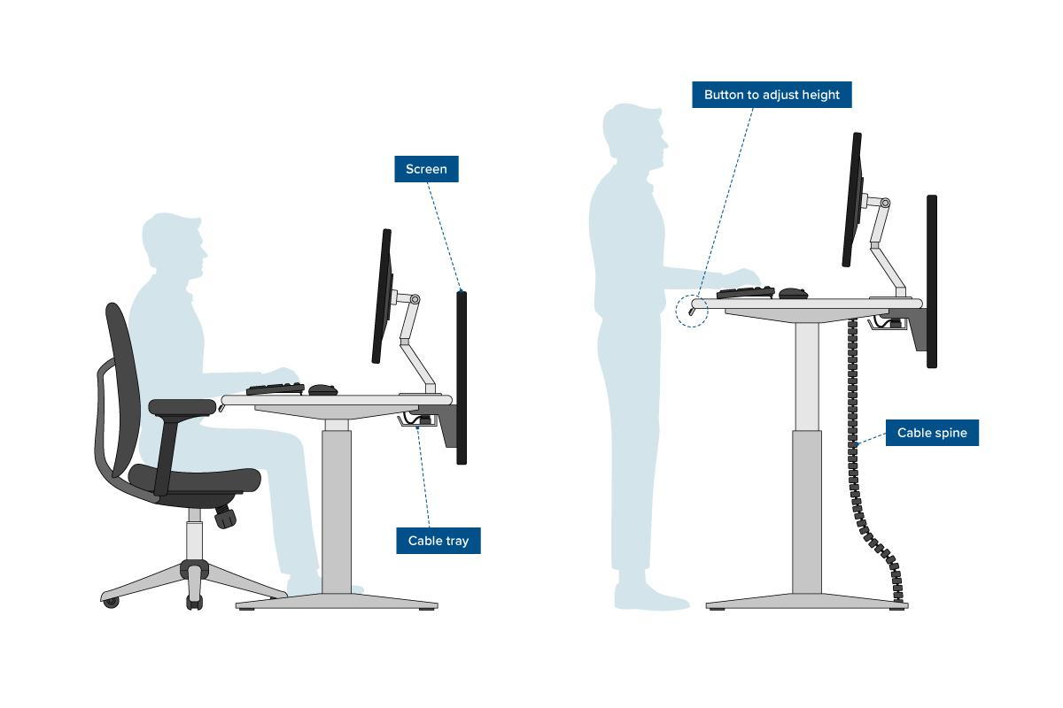 ergonomic way of sitting at desk