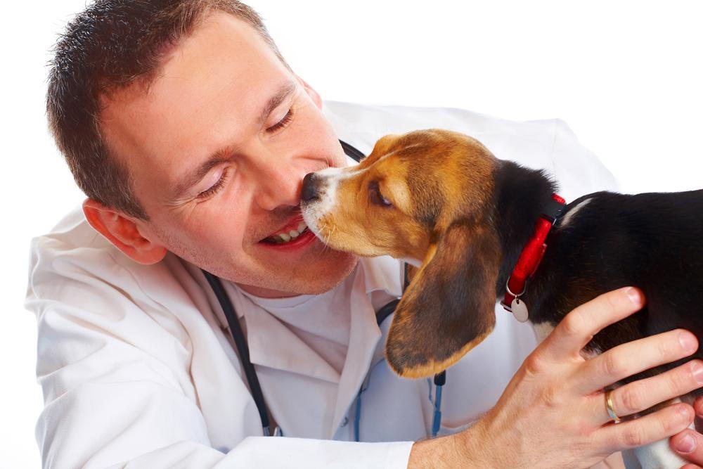 small puppy licking his veterinarians face