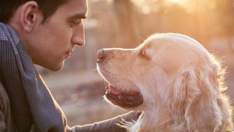 can dogs sense that you love them