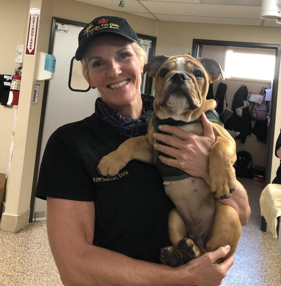 Veterinary Care for Bulldogs :: Family Pet Clinic of Redondo Beach