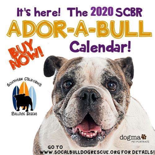 The 2020 Southern California Bulldog Calendar is Here!