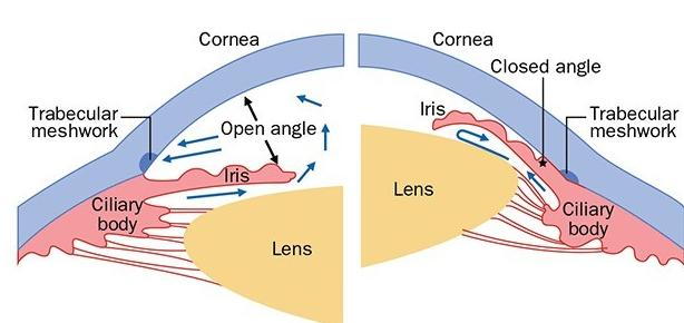 What Are The Eyes Angles