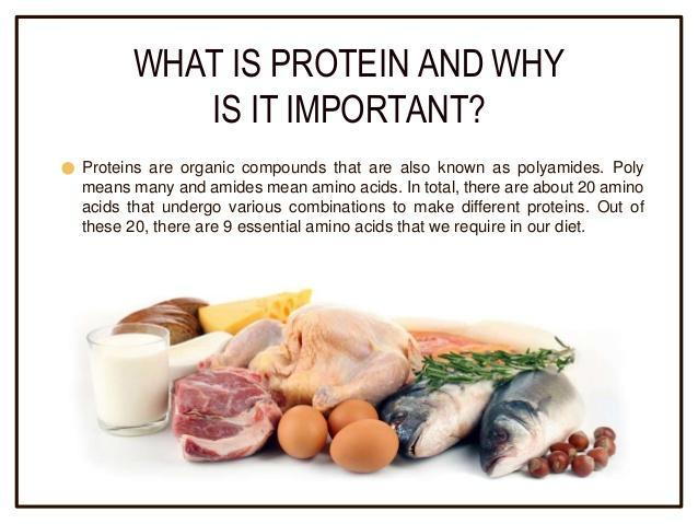 Why Protein Matters As Does The Source 0787