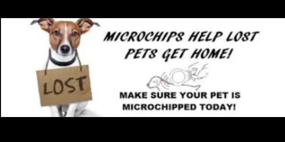 microfinder dog chip