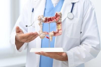 Concept image of Gastroenterologist with stomach model