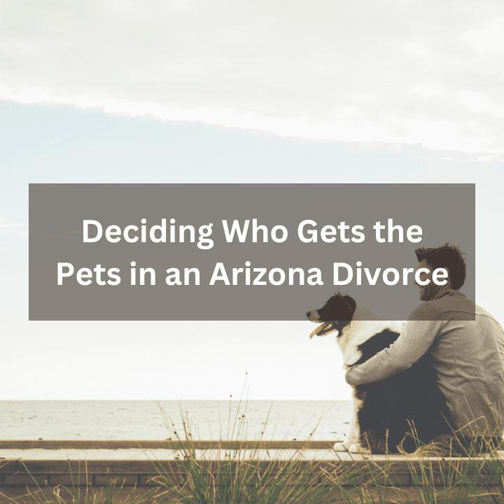 Deciding Who Gets the Pets in an Arizona Divorce