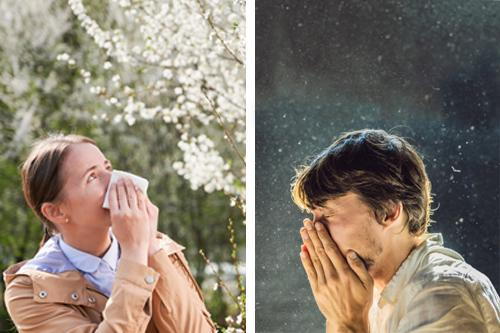Woman with seasonal allergy (left) and man with perennial allergy (right)