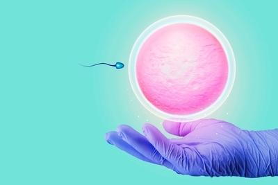 Illustration of egg and spern health