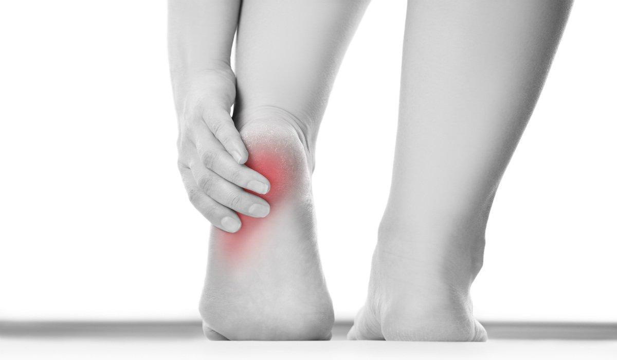 When to See a Doctor for Heel Pain | Orthopaedic Associates of Central  Maryland