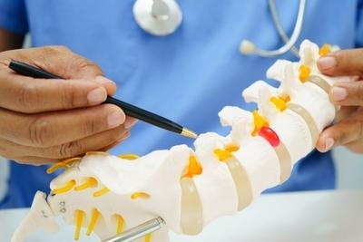 Doctor pointing out in a model spine