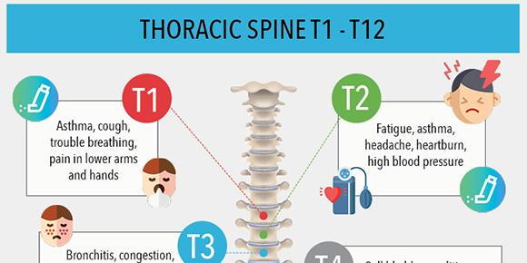 Map of Your Spine [Infographic]