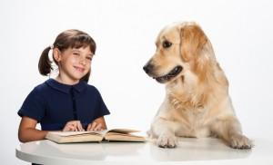 volunteer reading dog