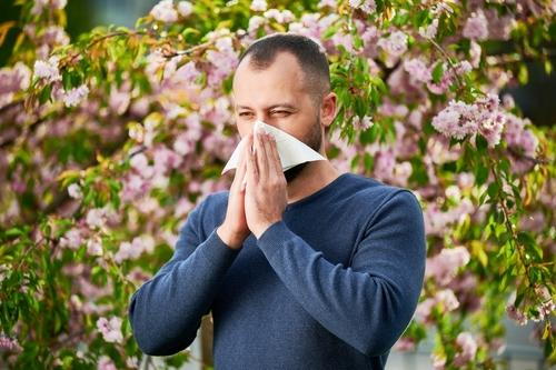 A man outdoors sneezing and showing signs of seasonal allergies.