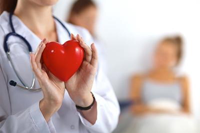 Concept image of cardiologist with heart model and doctor