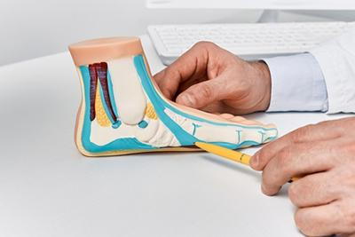 Anatomical-Flat-Foot-Model-on-Foot-Doctor's-Table