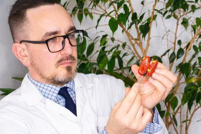 Hyperparathyroidism model hold by the doctor