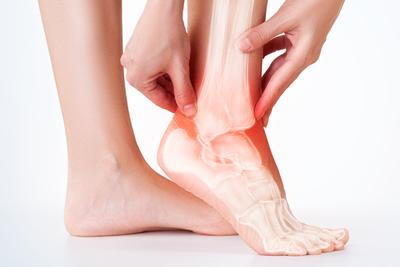 Highlighted ankle pain with bones shown