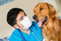 male veterinarian with dog