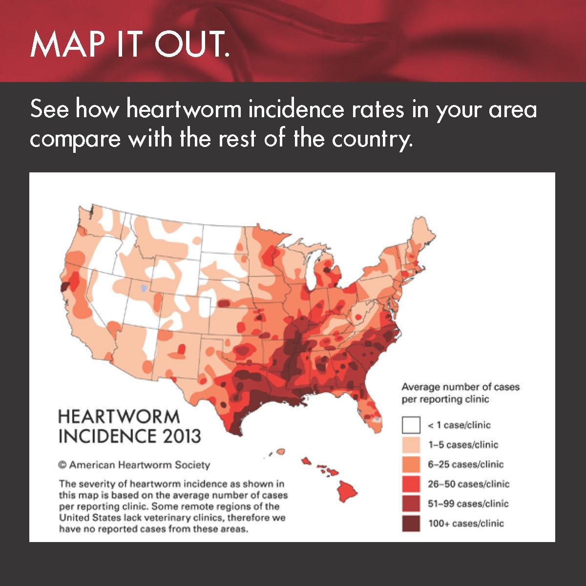 heartworm awareness in columbus ohio