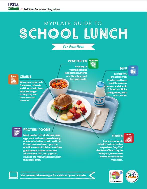 School Lunch Ideas - Healthy Ideas for Every Diet